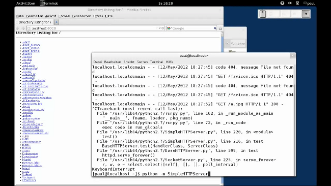 Screenshot vom Video